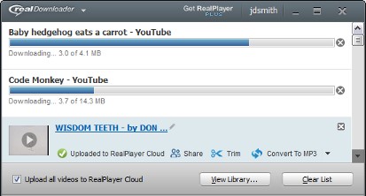 動画ダウンロードソフト-RealPlayer Downloader
