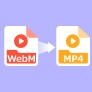 WebM 変換